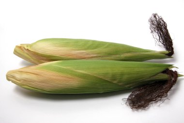Olgun Corncobs yakın çekim yukarı