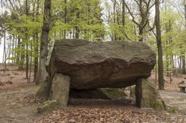 Neolitik geçiş mezar, Megalithic taş Osnabrueck-acele, Osnabrueck ülke, Almanya 