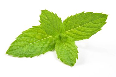 beyaz zemin üzerinde vahşi organik nane