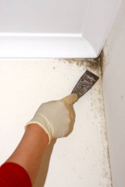 kişi gerekir Kalıp Temizleme Aracı ile yakın