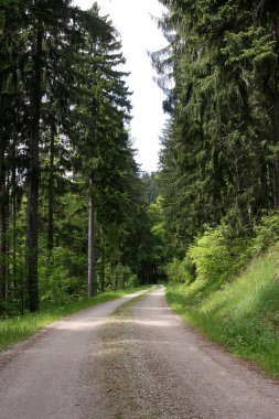 yol bulutlu zamanında yeşil ormandaki fotoğrafı 