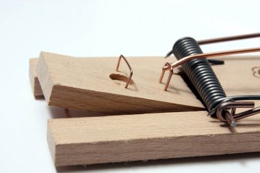 Fare kapanı yakın atış