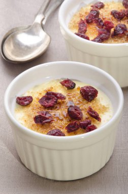 Creme bir Ramekin kurutulmuş Cranberries ile