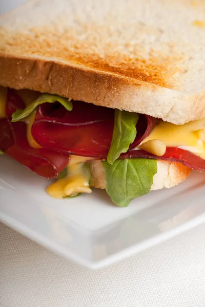 Tasty Sandwich Close Shot — Stock Photo, Image