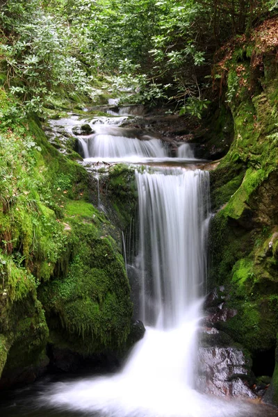 Amazing Natural Theme Nature Concept — Stock Photo, Image