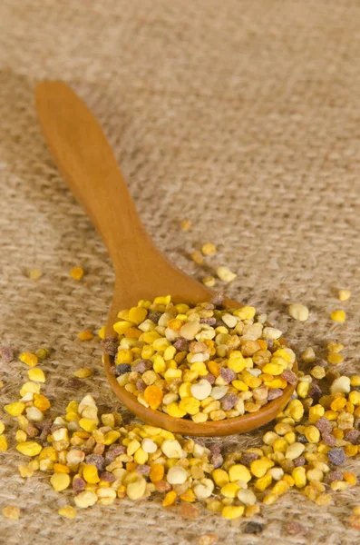 Bio Kukorica Vetőmag Fakanál — Stock Fotó