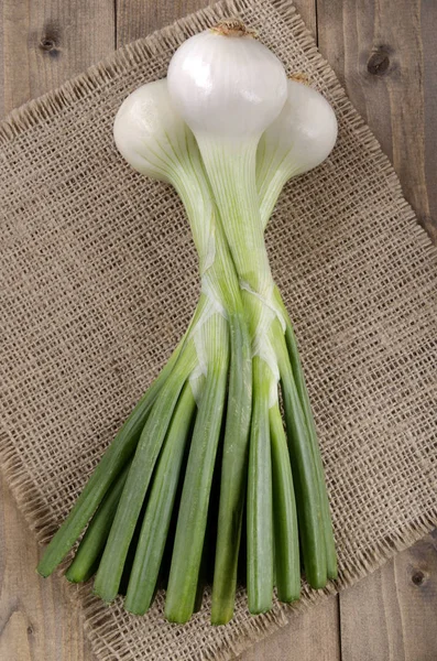 Organic Spring Onions Close Shot — Stock Photo, Image