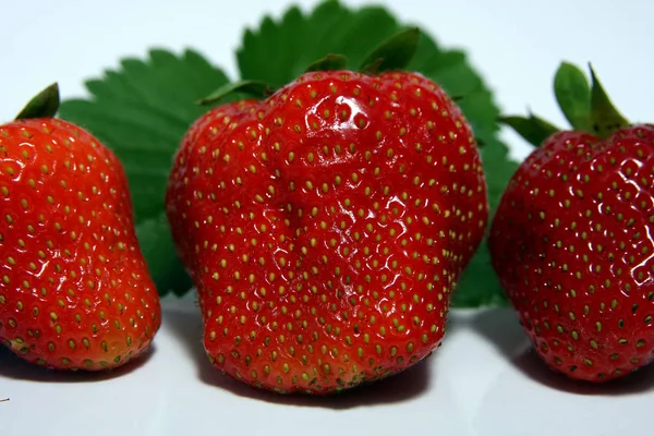 Fresas Rojas Maduras Cerca Tiro — Foto de Stock