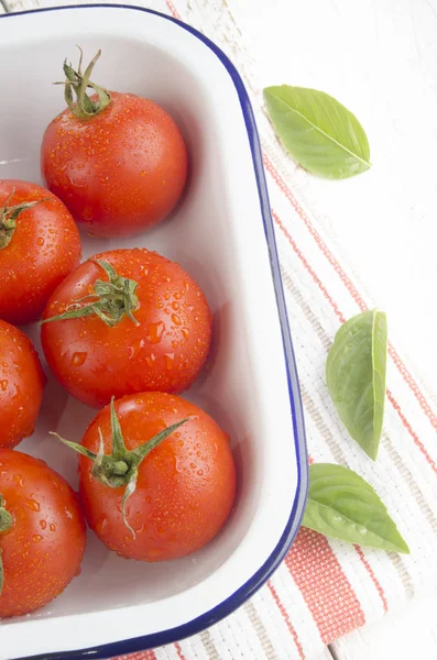 Vers Gewassen Tomaten Emaille Kom Basilicum Blaadjes — Stockfoto