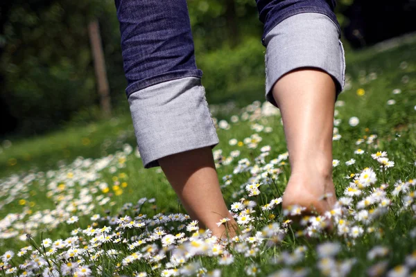 Close Photo Barefoot Male White Flowers Outdoor Summer — Stock Photo, Image