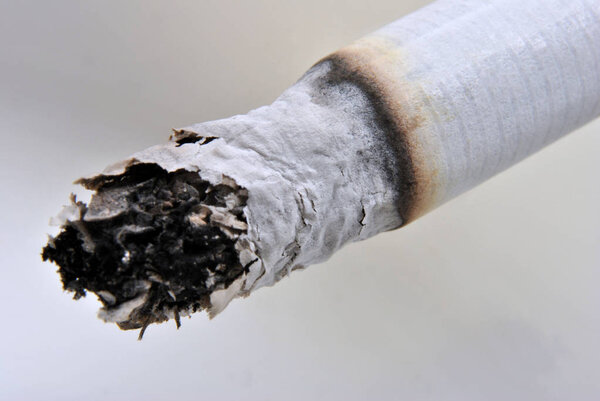 smoldering homemade white cigarette , close-up 