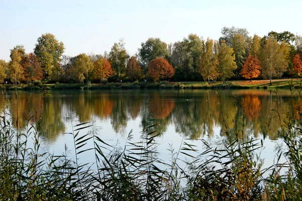 秋の森に囲まれた湖の絵のような景色 — ストック写真