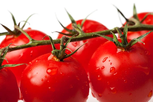 Nahaufnahme Von Frischen Roten Bio Tomaten — Stockfoto