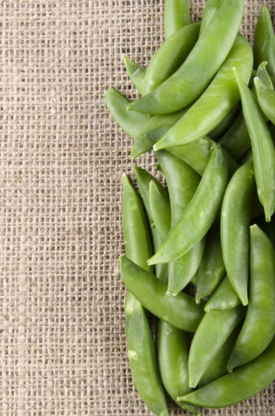 Taze Organik Mangetout Olarak Bilinen Şeker Bezelye — Stok fotoğraf