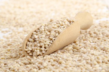 Arpa closeup. doğal kavramı