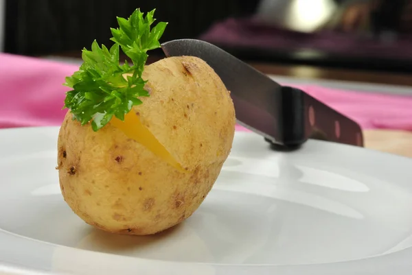 Βραστές Πατάτες Μαϊντανό Στο Άσπρο Πιάτο Γκρο Πλαν — Φωτογραφία Αρχείου