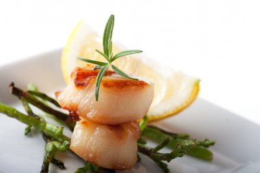 Fistolar beyaz plaka üzerinde kapat