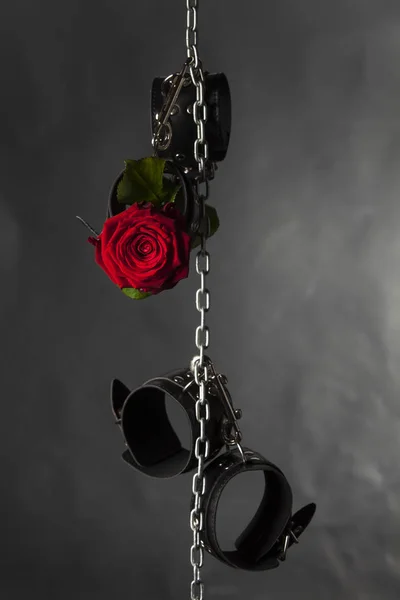 Zbliżenie Zdjęcie Czerwona Róża Kwiat Skórzane Kajdanki — Zdjęcie stockowe