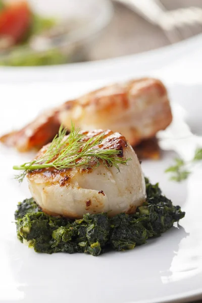 White Plate Grilled Scallop Spinach Close Royalty Free Stock Images