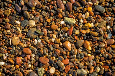 Çakıl taşları On A Beach yakın atış