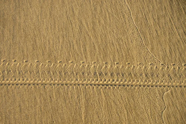 Bicycle Tracks Sand Abstract Color Theme — Stock Photo, Image