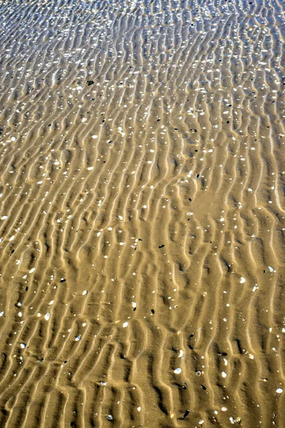 Strand Met Tracks Close Shot — Stockfoto