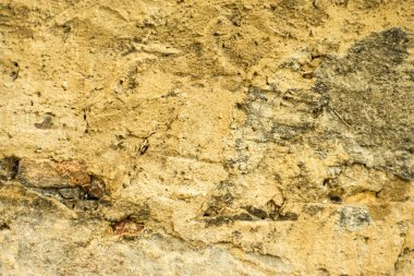 Eski, Ortaçağ Duvar yakın atış