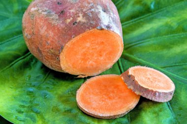 yakın çekim yaprak patates ile yeşil