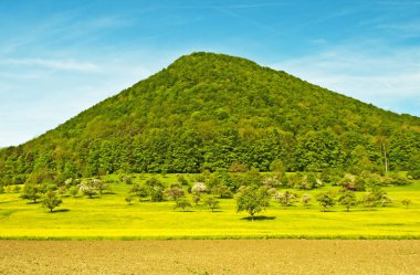 Manzara bahar. Doğal kavramı vurdu