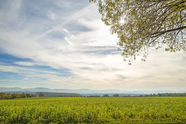 Bienenweide Mit Blick Auf Das Deutsche Hochland — Stockfoto