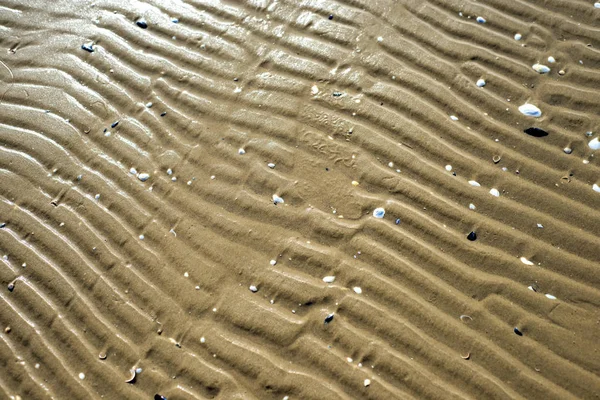 Spiaggia Con Tracce Primo Piano Colpo — Foto Stock