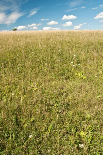 Moln Blå Sommarhimmel — Stockfoto