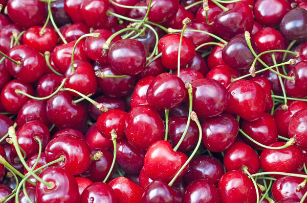 close-up photo of organic and healthy Cherry
