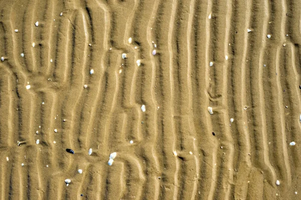 Пляж Траками Крупным Планом — стоковое фото
