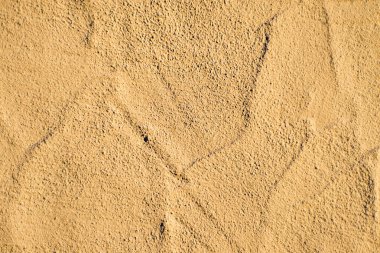 beyaz duvar yapısı ile beton