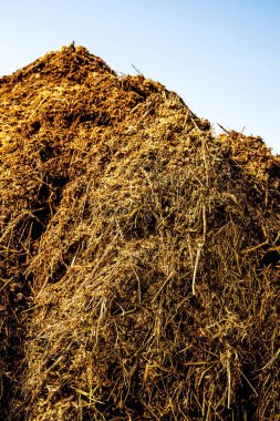 Şaşırtıcı dağlar manzara ateş