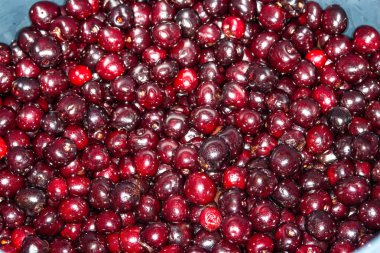 taze Olgun Kiraz, yığını yakın çekim 