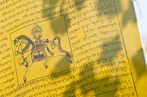 Flaga Tybetu Modlitwie Bliska Strzał — Zdjęcie stockowe
