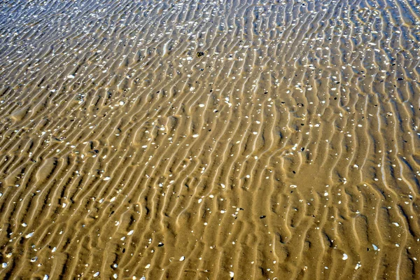Pláž Stopy Zblízka Střílel — Stock fotografie
