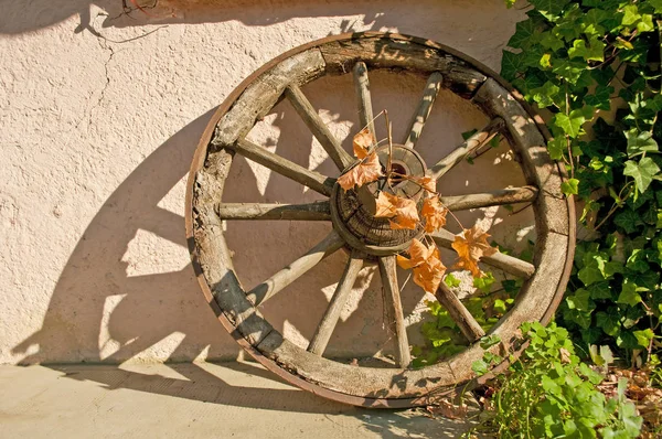바퀴의 — 스톡 사진