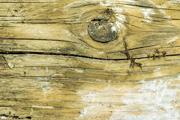Old Rotten Plank Abstract Color Theme — Stock Photo, Image