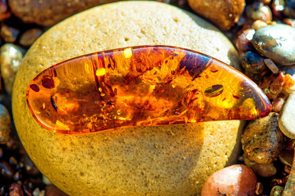 Amber On A Beach Of The Baltic Sea