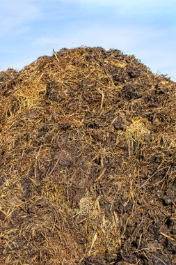 yığın kokuşmuş dunghill mavi gökyüzü arka plan, yakın çekim    