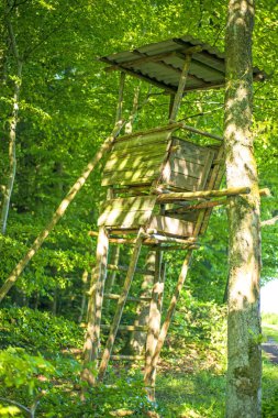 Yüksek koltuk için avcılar ormandaki yeşil   