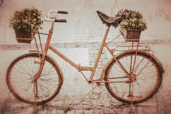 Close Beautiful Blooming Flowers Bicycle Background — Stock Photo, Image