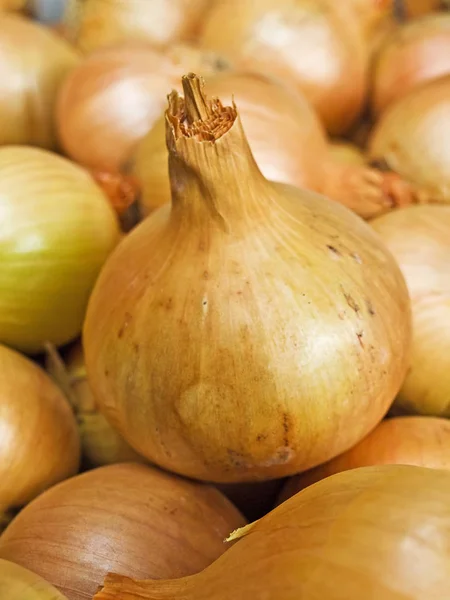 Close Organic Onion Healthy Food Full Vitamins — Stock Photo, Image