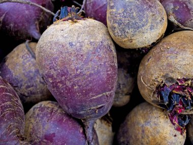 Olgun kirli pancar, yığını yakın çekim 