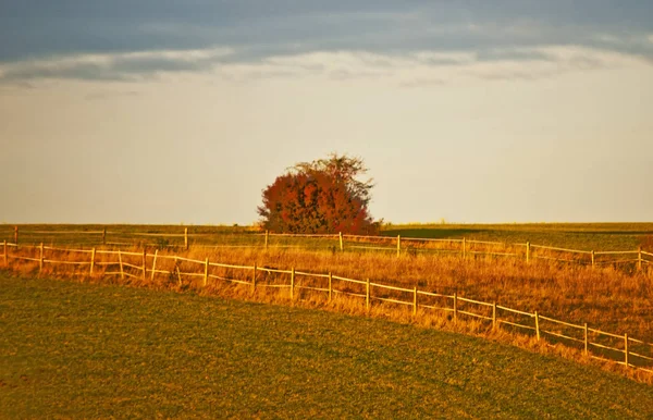 Colpo Colore Prato Autunnale — Foto Stock