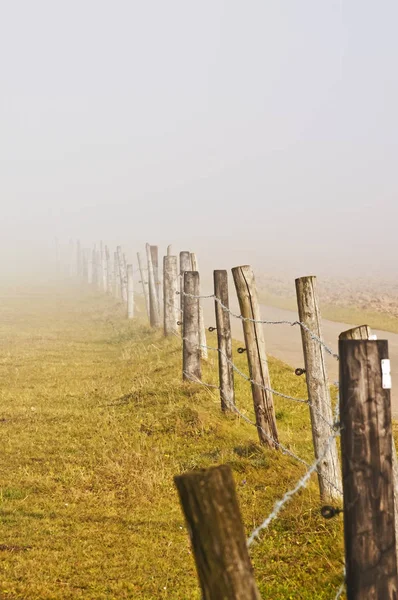 Niebla Descendente Otoño Concepto Natural — Foto de Stock