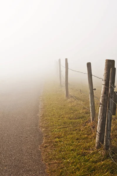 Niebla Descendente Otoño Concepto Natural — Foto de Stock